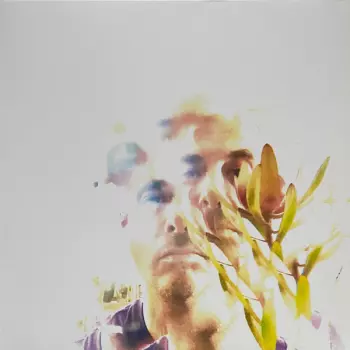 Matthew Himes: Hemlock & Bergamot
