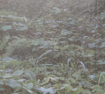 CD Mattiel: Georgia Gothic