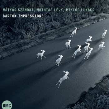 Album Miklós Lukács: Bartók Impressions