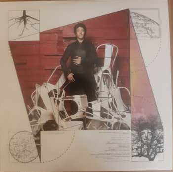 LP Max Gazzè: La Matematica Dei Rami