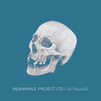 LP Meanwhile Project Ltd: Sir Mandrill