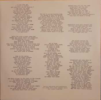 LP Meat Puppets: Up On The Sun