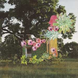 Album Medicine: Home Everywhere