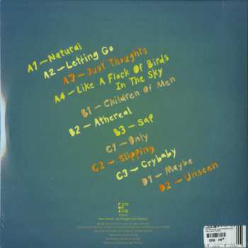 2LP Mees Salomé: Big Thoughts Like Elephants