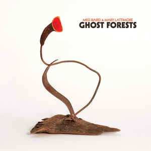LP Mary Lattimore: Ghost Forests CLR | LTD