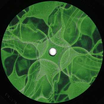 LP Meg Ward: Connections