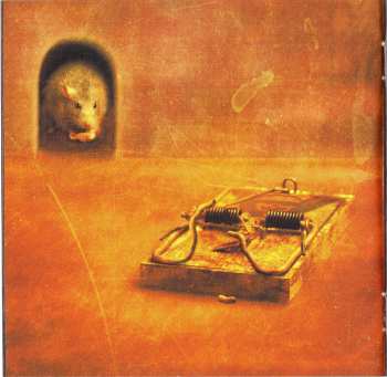 CD Megadeth: Risk