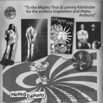 CD Melting Euphoria: From The Madness We Began