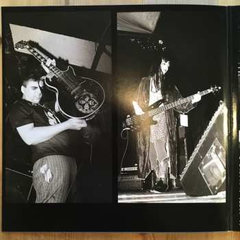 LP Melvins: Bullhead