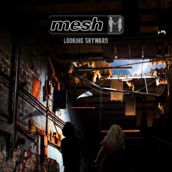 CD Mesh: Looking Skyward