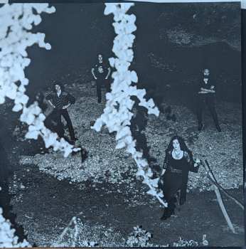 2LP Messa: Close CLR | LTD