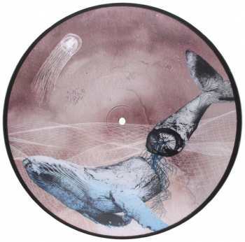LP Mestis: Basal Ganglia PIC | LTD