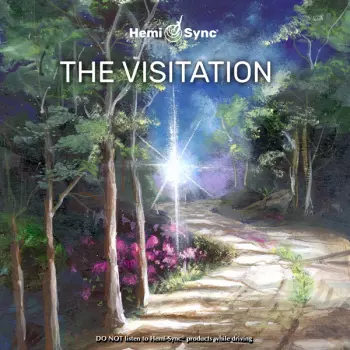 Micah Sadigh: The Visitation