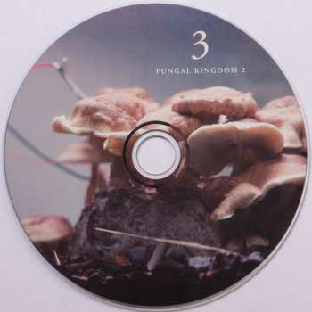 3CD/Doos Michael Prime: Bioelectrical Music