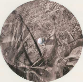 EP Michael Northam: Suhina CLR | LTD