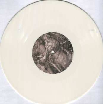 EP Michael Northam: Suhina CLR | LTD