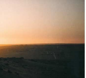 CD Michael Patrick Kelly: Traces LTD