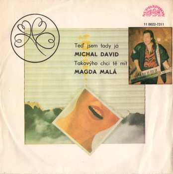 Album Michal David: Teď Jsem Tady Já / Takovýho Chci Tě Mít