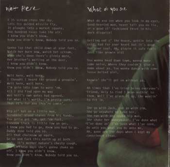 2CD Mick Flannery: White Lies DLX | LTD