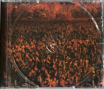 CD Midnight Oil: Capricornia