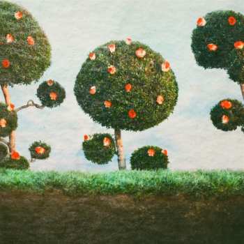 Album Midnight Sister: Painting The Roses