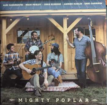 LP Mighty Poplar: Mighty Poplar