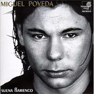 Suena Flamenco