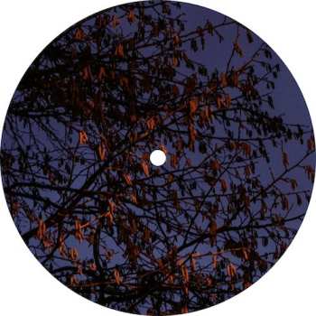 LP Mikkel Metal: Quest #14 EP