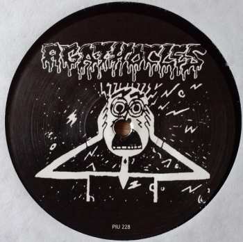 LP Agathocles: Mimic Your Masters / Chaos & Disorder