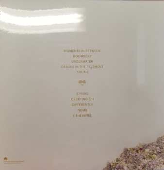 LP Mini Trees: Always In Motion LTD | CLR