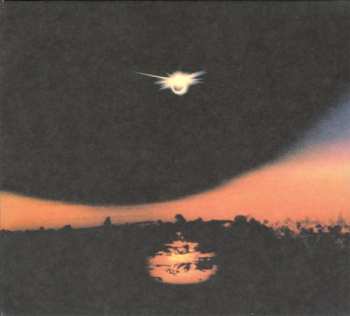 CD Mirrorring: Foreign Body