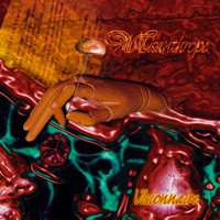 Album Misanthrope: Visionnaire