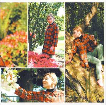 CD The Masonics: From This Witness Stand