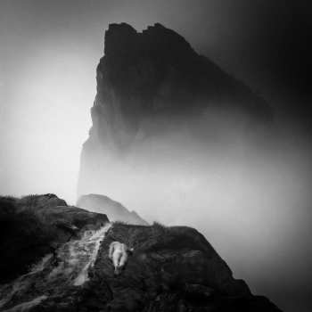 Album מזמור: Alluvion