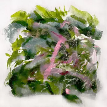 MIZU: Forest Scenes