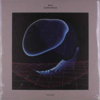 2LP MLO: Oumuamua