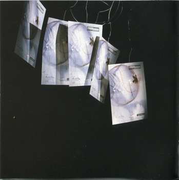 CD Modern English: The Best Of Modern English: Life In The Gladhouse 1980-1984