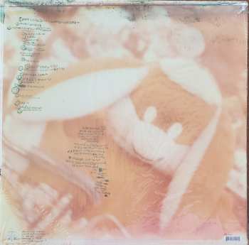 LP Modest Mouse: Sad Sappy Sucker
