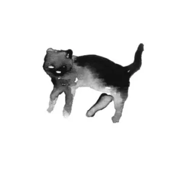 Molly Nilsson: Sólo Paraíso - The Summer Songs EP