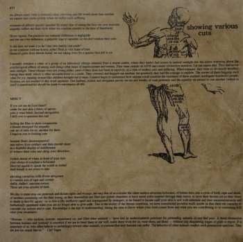 CD Momentum: Whetting Occam's Razor