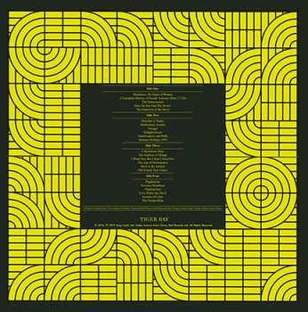 2LP Momus: Pubic Intellectual - An Anthology LTD