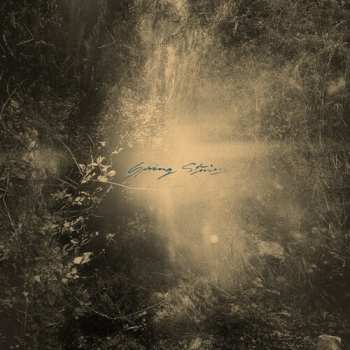 LP Mondkopf: Spring Stories LTD