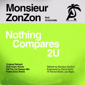 Nothing Compare 2 U