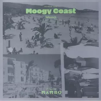 Moogy Coast: Koherencja