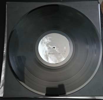 LP Morild: Disse Fugle Får Ingen At Se