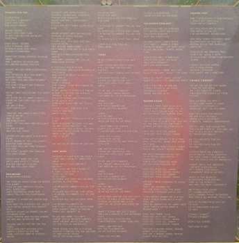 LP Mörk: Still Dreamin'