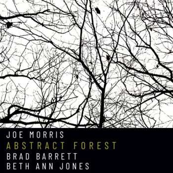 Album Joe Morris: Abstract Forest