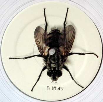 LP Mos Generator: Exiles