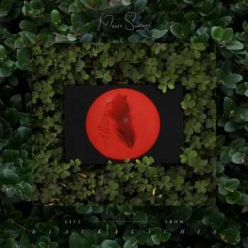 Album Moses Sumney: Live From Blackalachia