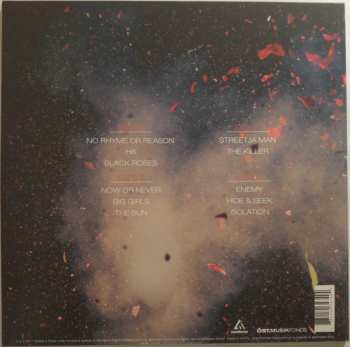2LP Mother's Cake: No Rhyme No Reason
